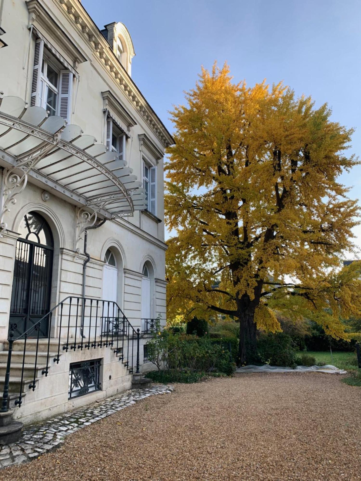Ferienwohnung A L'Abri Du Ginkgo Tours Exterior foto
