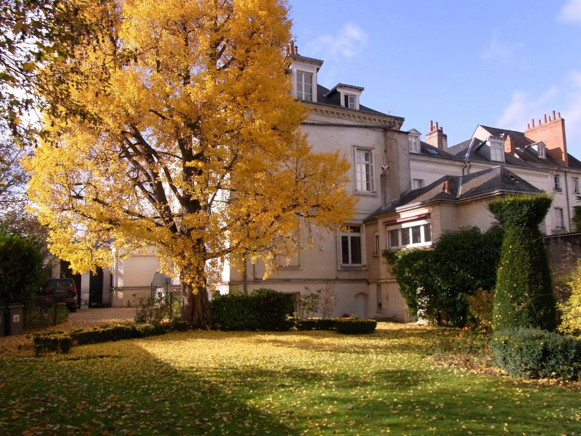Ferienwohnung A L'Abri Du Ginkgo Tours Exterior foto